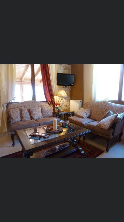 Aetoma Suites Synikia Mesi Trikalon Zewnętrze zdjęcie