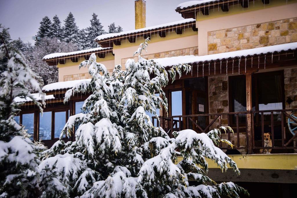 Aetoma Suites Synikia Mesi Trikalon Zewnętrze zdjęcie