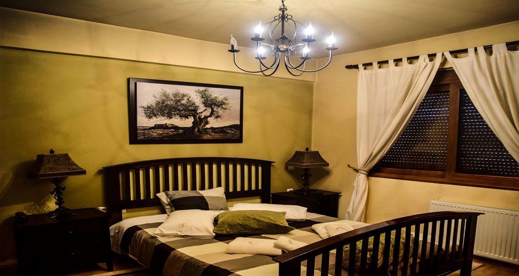 Aetoma Suites Synikia Mesi Trikalon Zewnętrze zdjęcie
